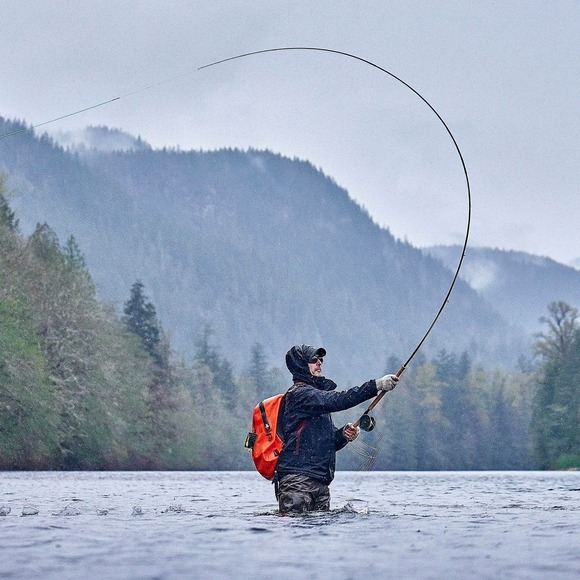 Meet your Posher, Joe - Picture 1 of 1